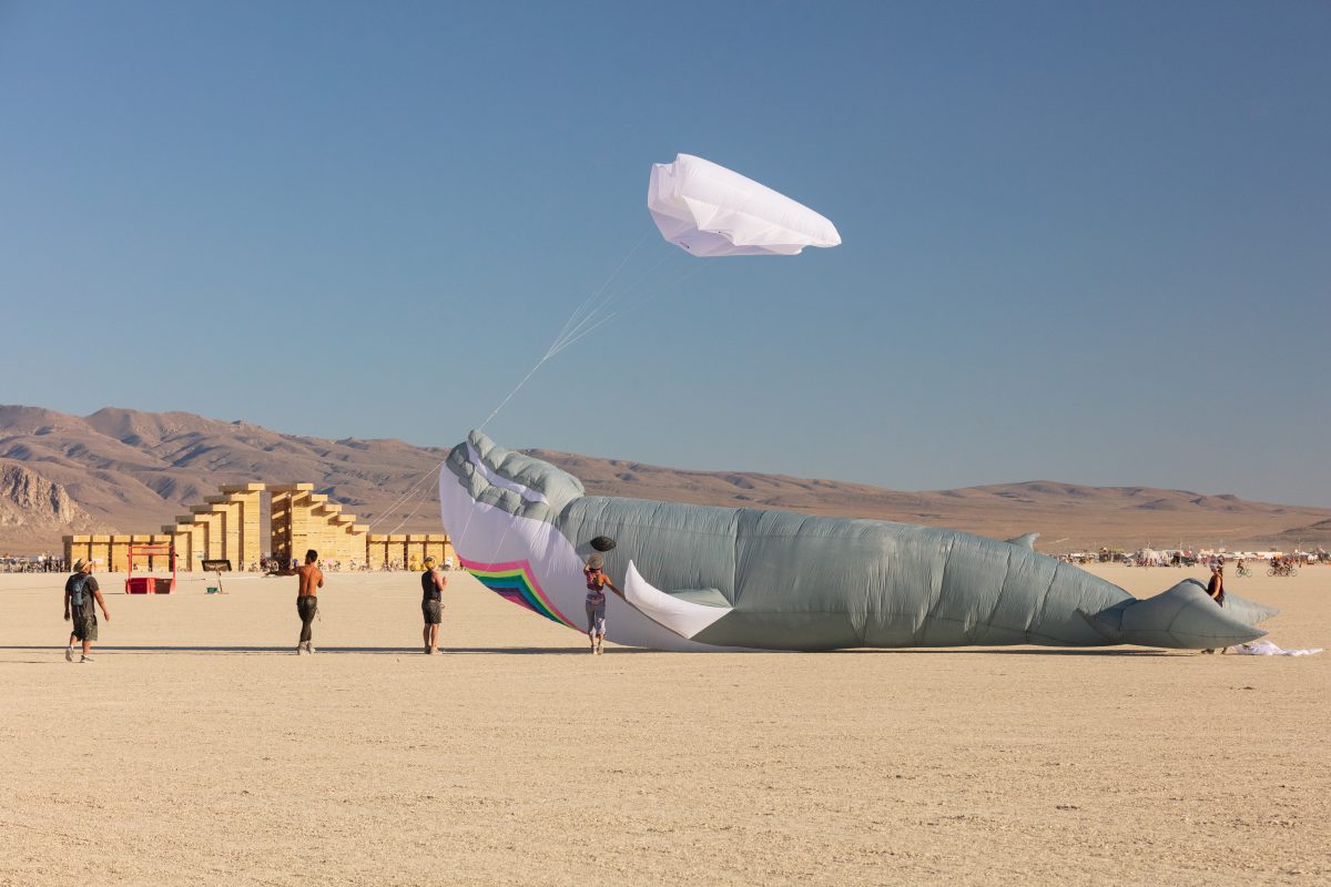 Skywhale: The Not ShyWhale by: Blake Marcus, Chris Welch, Seven from: Amherst, MA year: 2019  The SkyWhale is a life sized flying technicolor whale and she will kindle the flames of imagination and wonder within all who see, touch, and listen to the piece as she arrives into the dusty desert. She...