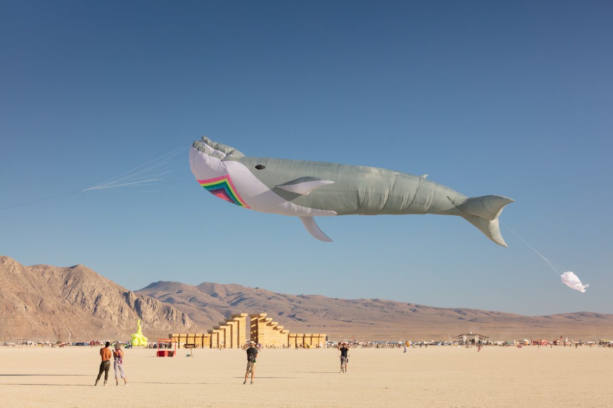 Skywhale: The Not ShyWhale by: Blake Marcus, Chris Welch, Seven from: Amherst, MA year: 2019  The SkyWhale is a life sized flying technicolor whale and she will kindle the flames of imagination and wonder within all who see, touch, and listen to the piece as she arrives into the dusty desert. She...