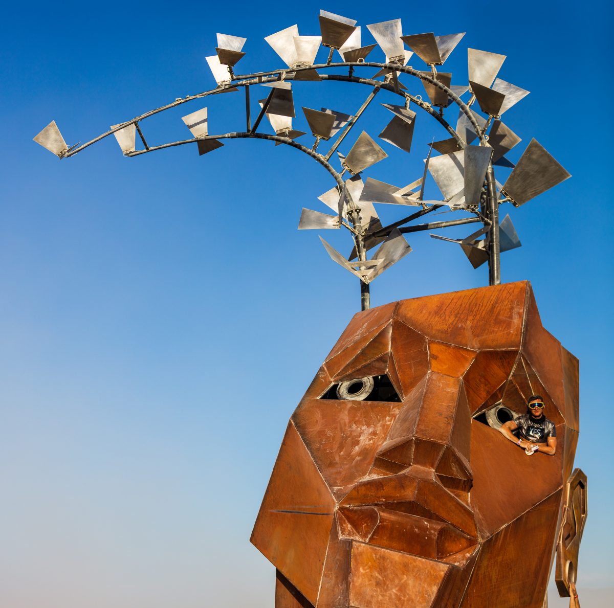 The Flybrary by: Christina Sporrong from: Taos, NM year: 2019 The Flybrary is an extraordinary library within an enormous human head, partially cut open at the top allowing a flock of illuminated birds to emerge. Within the head are several levels of catwalks to climb and nooks and crannies to si...