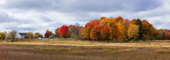 Fall Color and Collapsed Barn