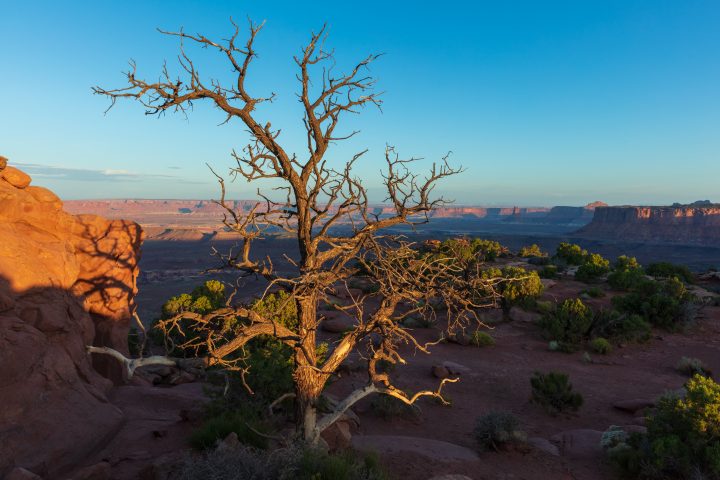 Morning at Grand View Point Overlook 02