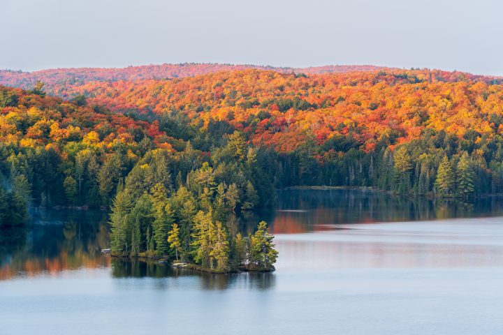 Small Island and Fall Color at Dawn