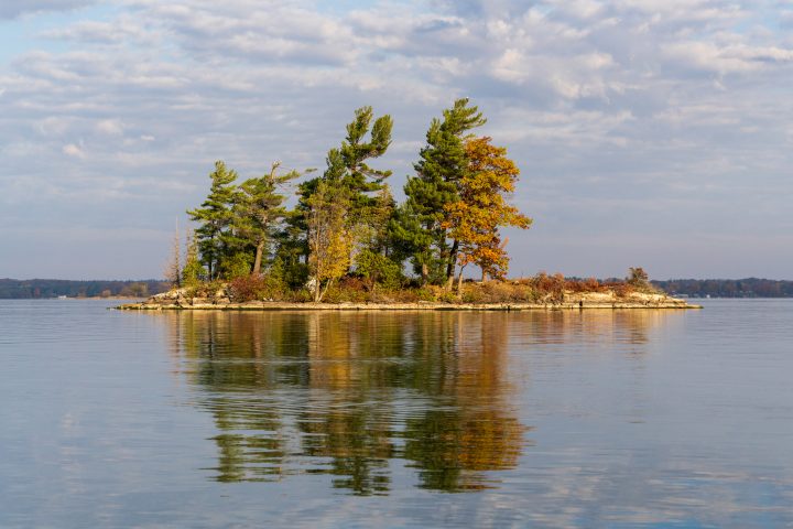 Bald Eagle atop Small Island