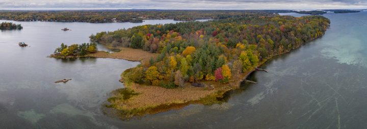Large Island and Fall Color