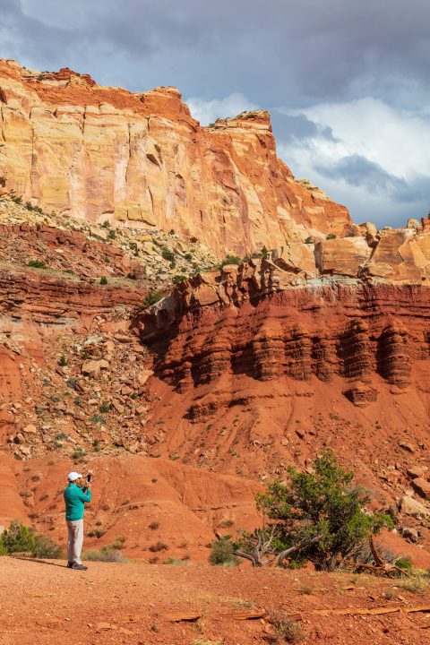 Person Photographing Landscape with Mobile Device