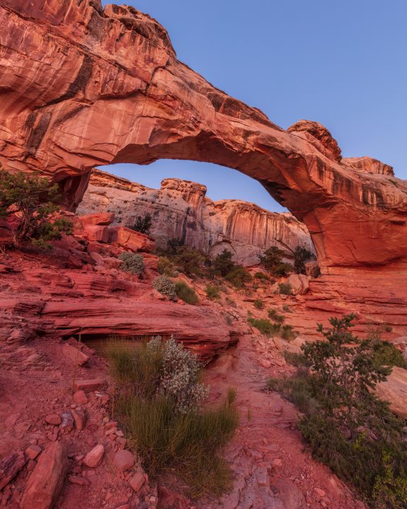 Hickman Natural Bridge 02