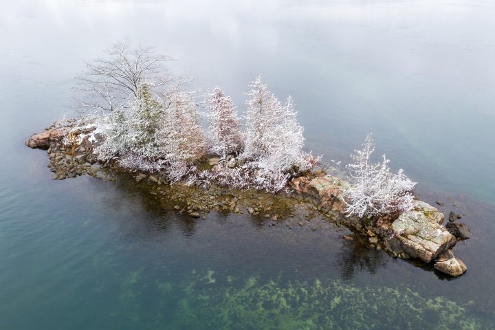 Small Island and Snow Covered Trees