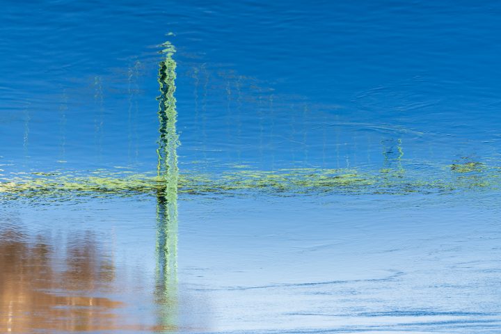 Bridge Reflection