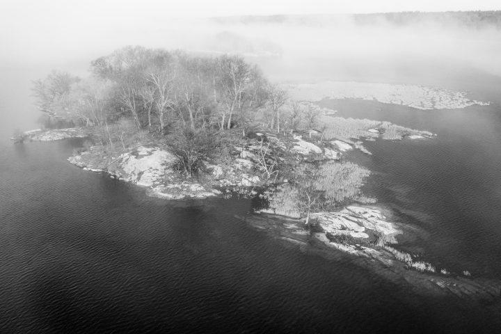Island and Trees in the Fog