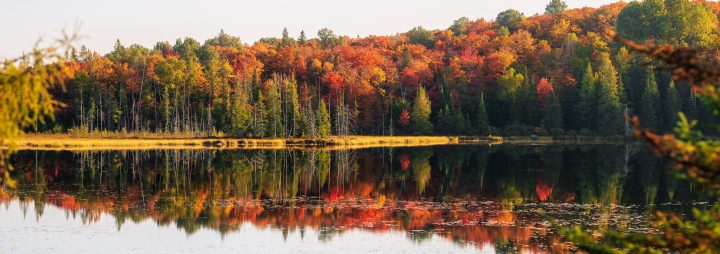 Fall Color at Small Lake