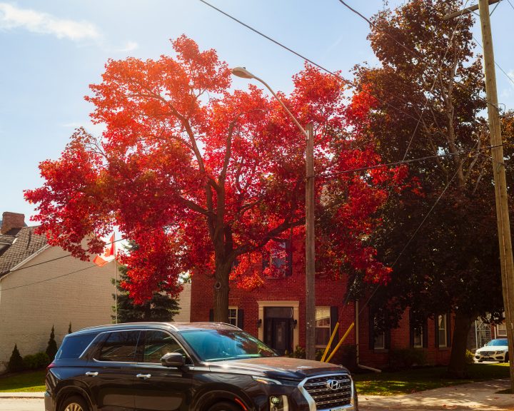 Vehicle with Fall Color and Brick Building