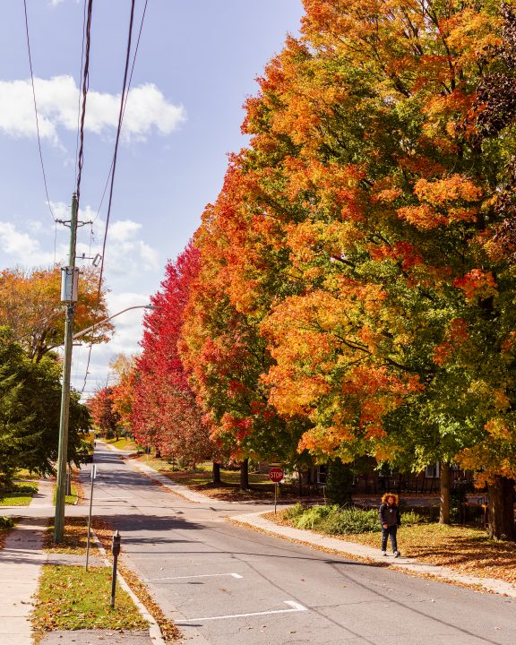 Person Walking on Sidewalk and Fall Color
