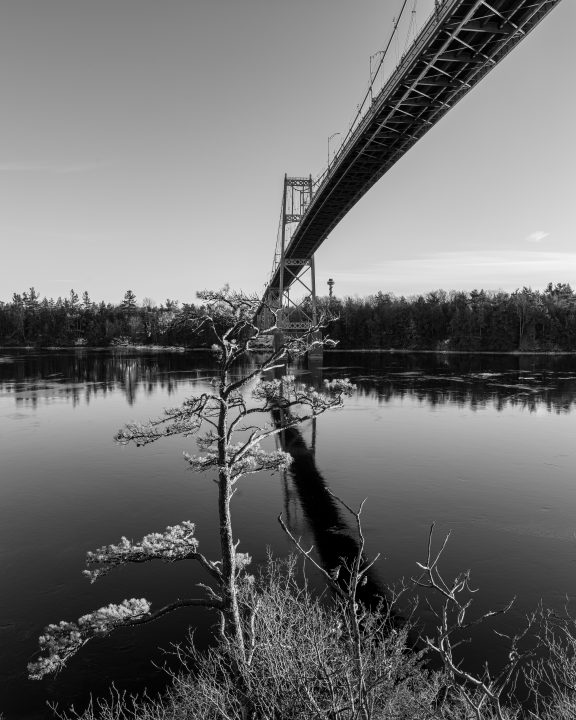Under the Bridge Black and White