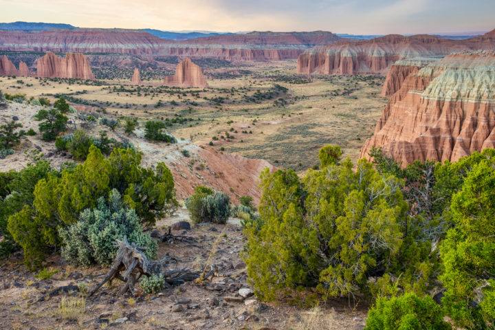 Dusk in the Valley
