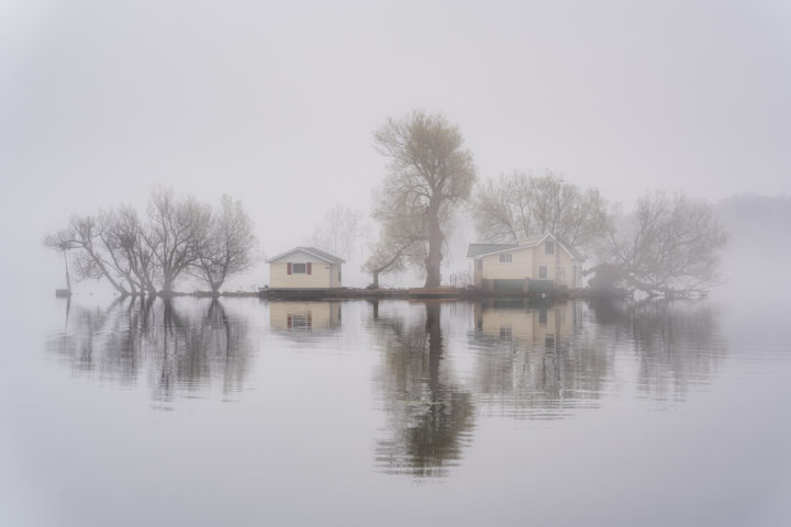 Small Island and Trees in the Fog