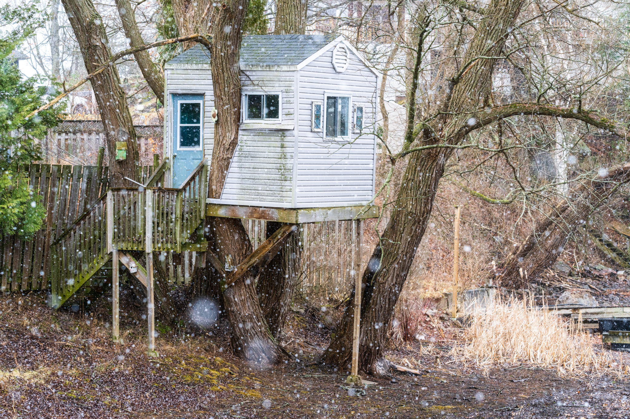 Treehouse with Siding Duncan.co