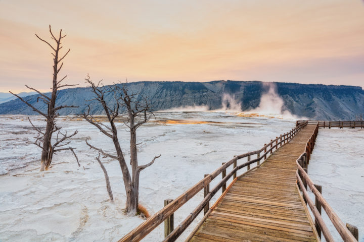 Morning At Mammoth Hot Springs