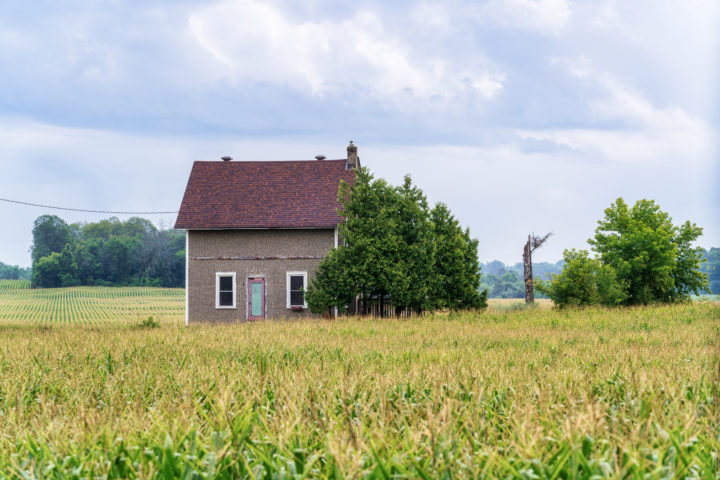 Farmhouse in Corn Field