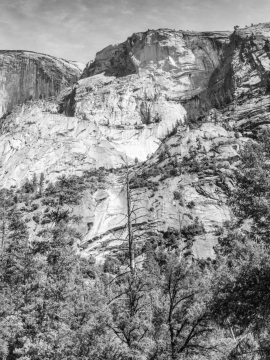 Trees and Cliffs Black and White