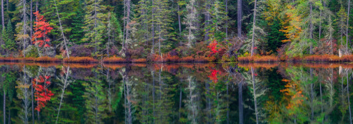 Fall Color at the Edge of the Lake