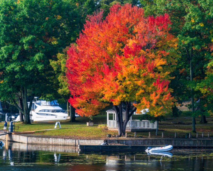 Fall Color at the Marina