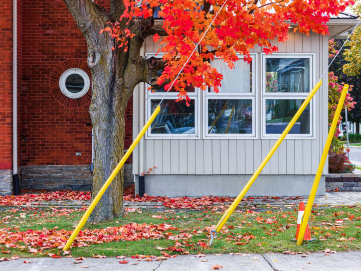 Fall Color and Facade