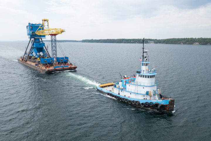 Big Blue Crane 38