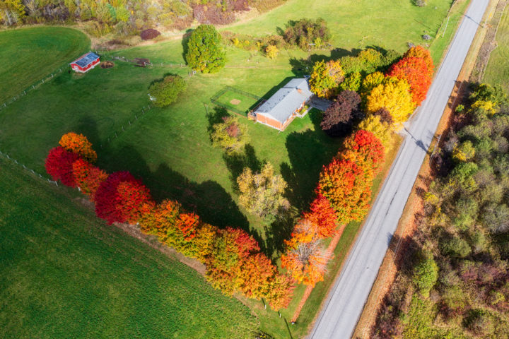 Rural Home and Fall Color