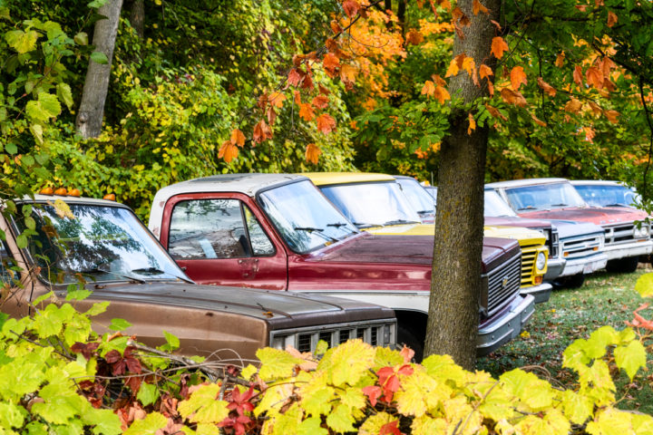 Row of Old Trucks