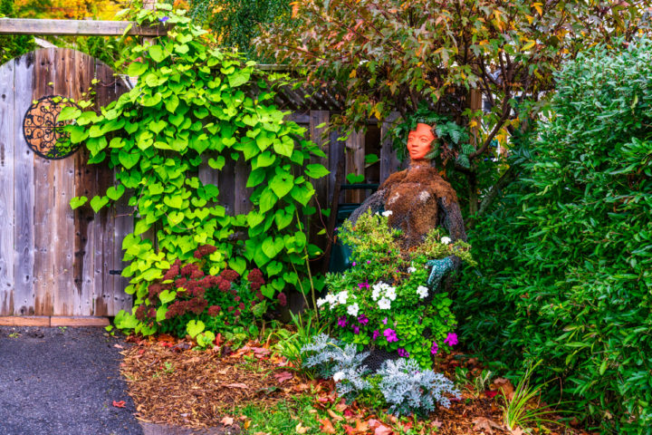 Garden Goddess