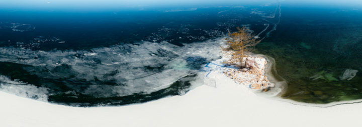 Lone Tree on Small Island Surrounded by Ice and Snow