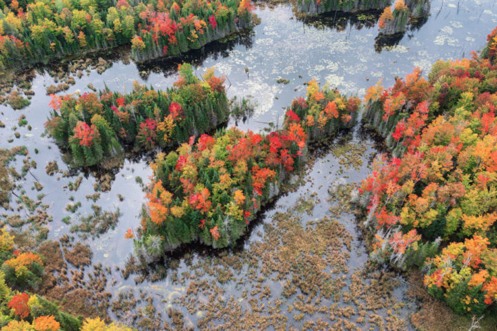 Fall Color and Pond