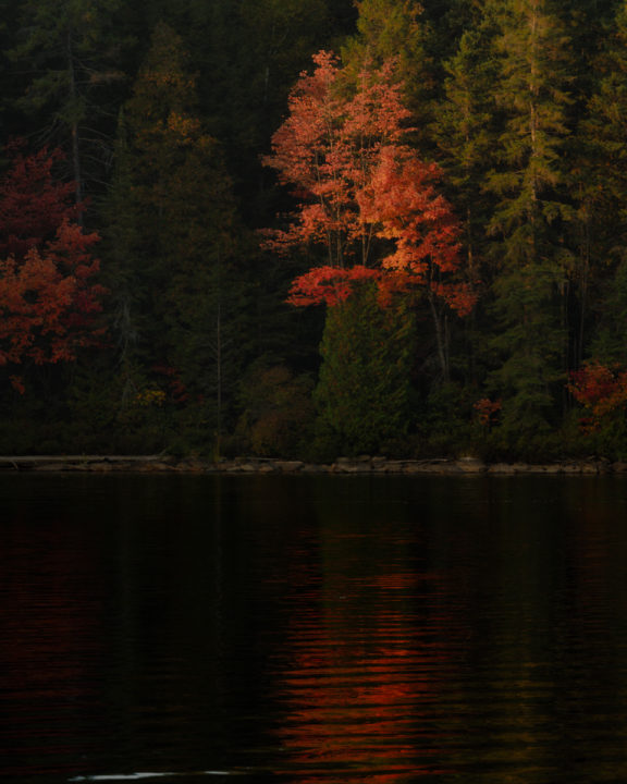 Last Light and Fall Color