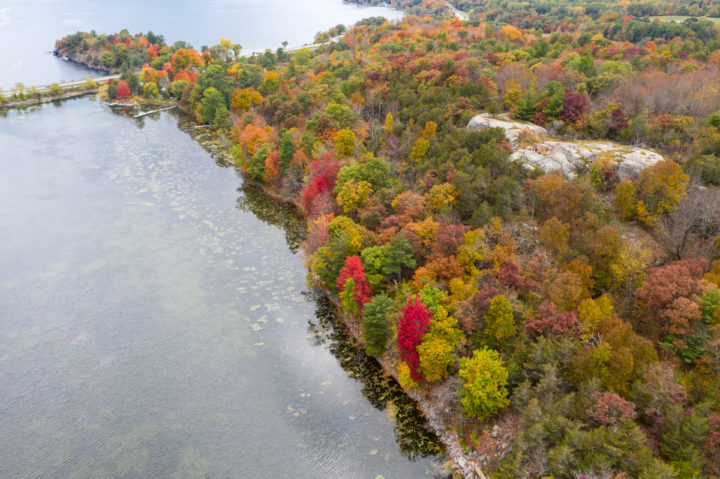 Fall Color at Donevan Trail Lookout