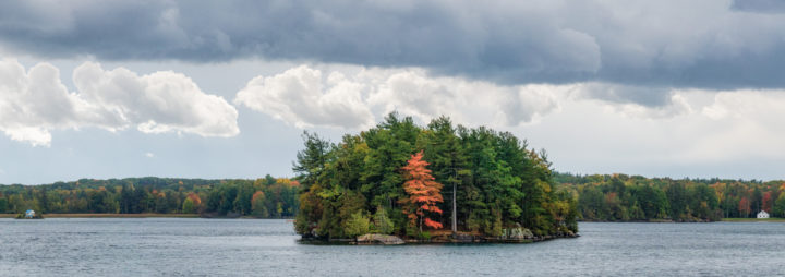 Small Island with one Coloful Tree