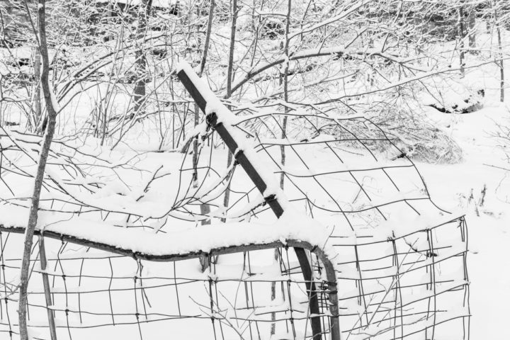 Bent Fence