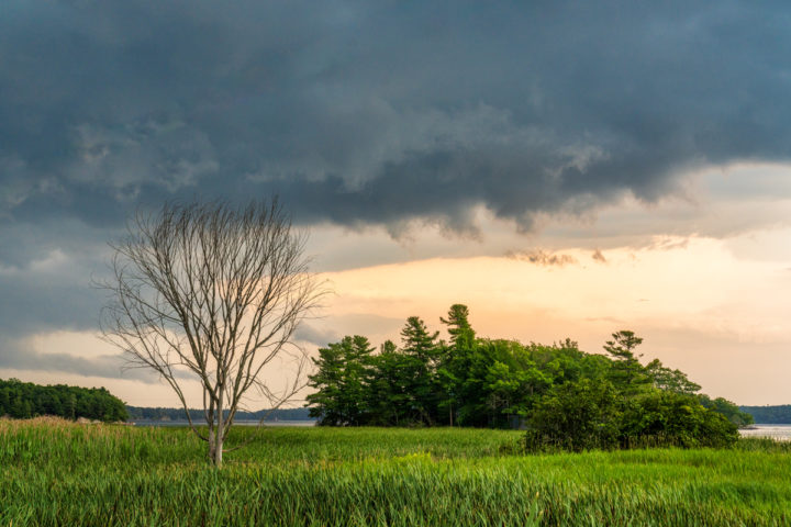Tree and Dramatic Sky