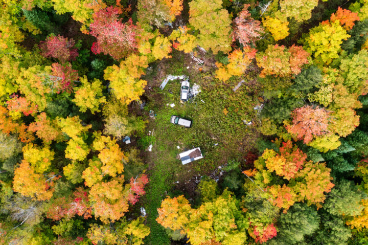 Abandoned Vehicles in the Forest