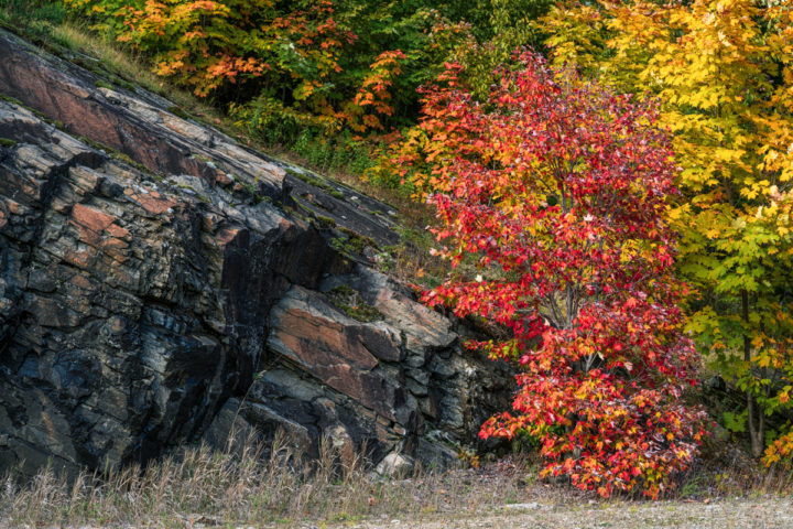 Stone and Fall Color