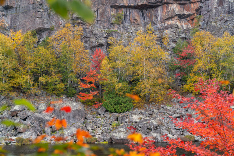 Fall Color and Rock Wall 2