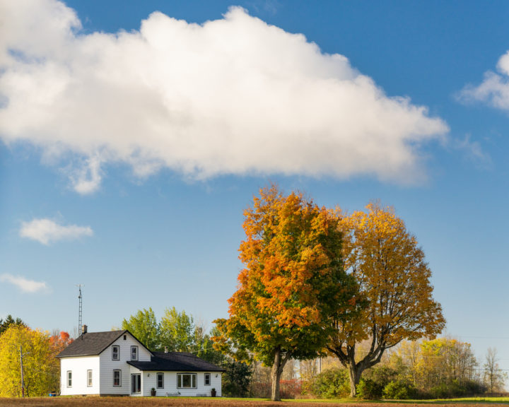 Farmhouse and Trees