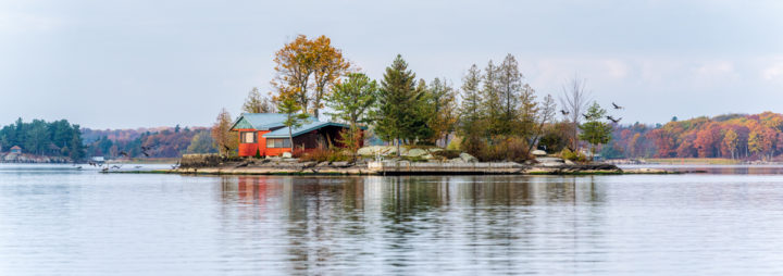 Cottage on Small Island and Flying Cormorants