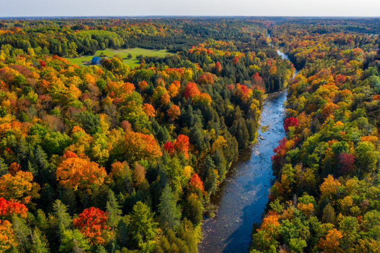 Farm and River in the Fall