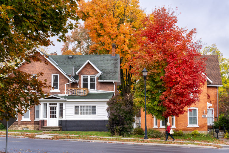 Fall Color and Two Brick Homes