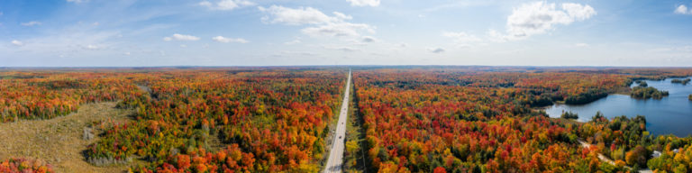 Fall Color and Highway