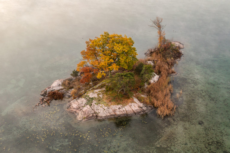 Small Island with Tree and Fall Color