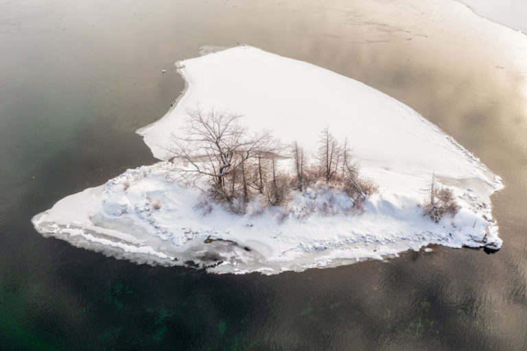 Small Snow Covered Island with Trees and Birds