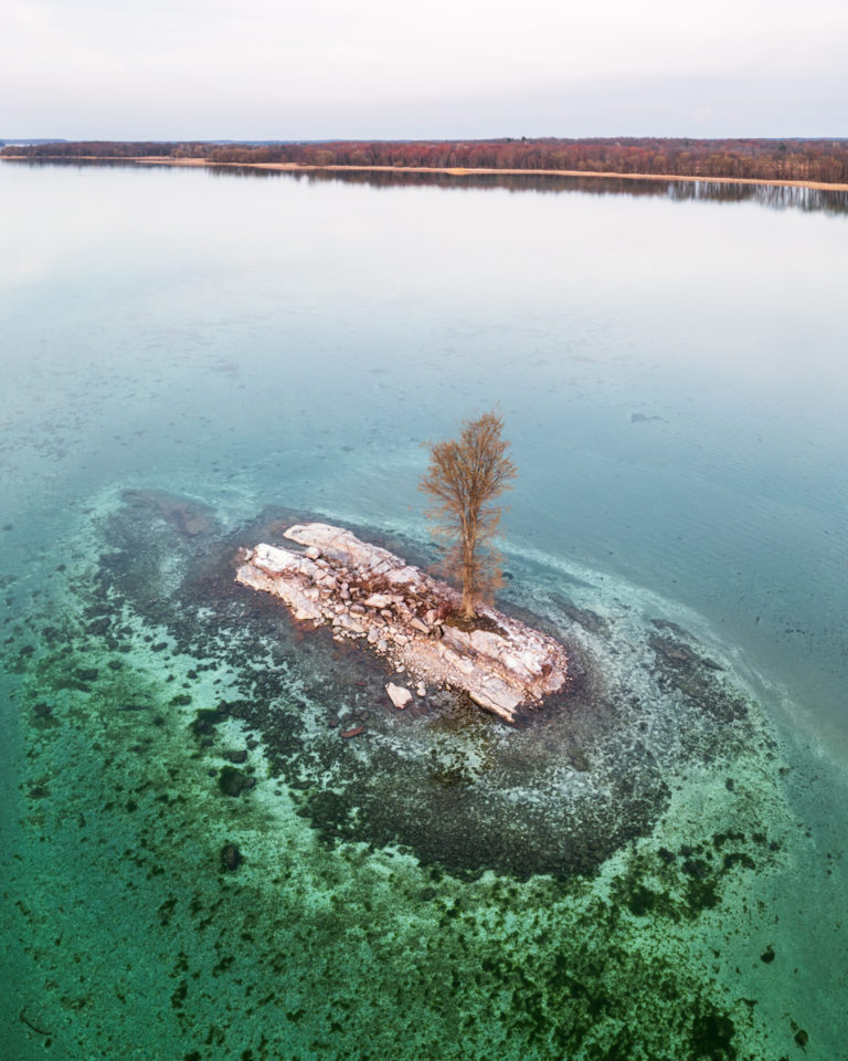 Tree on a Small Island