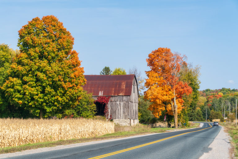 Barn and Fall Color