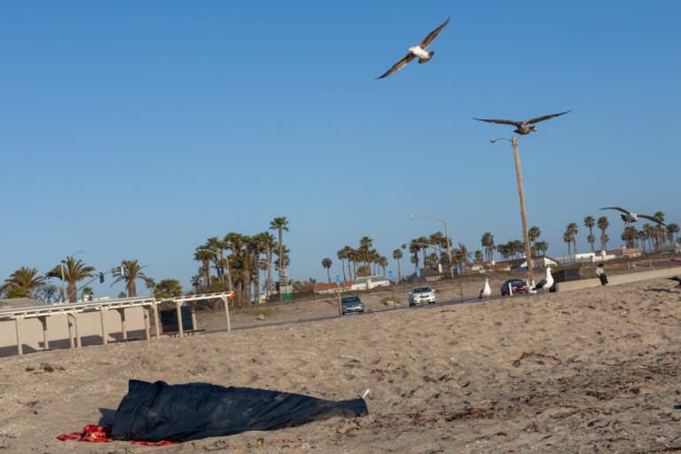 Person Sleeping on Beach